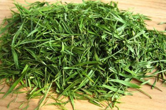 哪類人不適合喝石竹茶，石竹茶的功效與禁忌