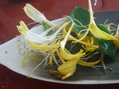 喝茶治口臭嗎，什么茶治口臭好？