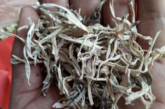 麗江雪茶的禁忌，白雪茶的副作用