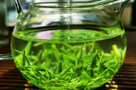 喝黃金茶禁忌，什么人不能喝黃金芽茶？