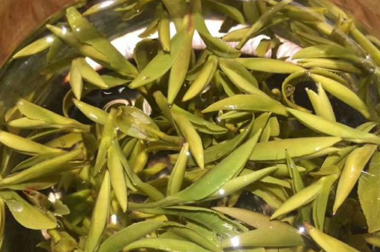 八大茶系都有哪幾種，八大茶系都是什么名字