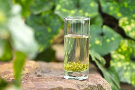 碧螺春沖泡三要素，碧螺春怎么泡才正確？