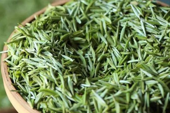 雀舌茶的沖泡方法，怎么沖泡雀舌茶？