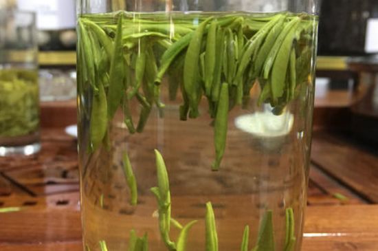 雀舌茶的副作用，雀舌茶什么人不能喝？