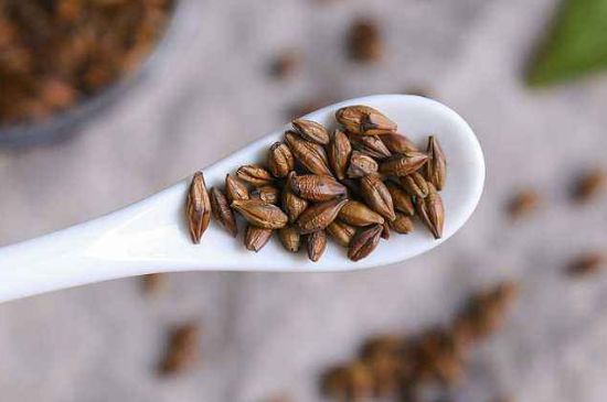 飯店的大麥茶為什么那么香，自己泡的蕎麥茶沒飯店香