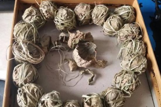 鷓鴣茶用拆開(kāi)泡嗎，鷓鴣茶要解開(kāi)繩子泡嗎