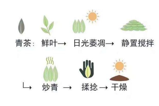 茶葉名稱大全和圖片，茶葉名字大全三四個字！