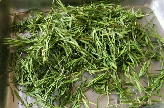 哪類人不適合喝石竹茶，石竹茶的功效與禁忌