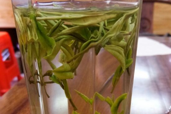 云霧綠茶的功效及禁忌，哪些人不適合喝云霧茶