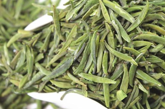 雀舌茶什么人不能喝，雀舌茶的功效與禁忌