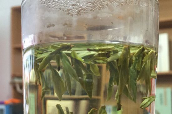 煮茶器能煮龍井嗎，龍井茶能不能用煮茶器圖