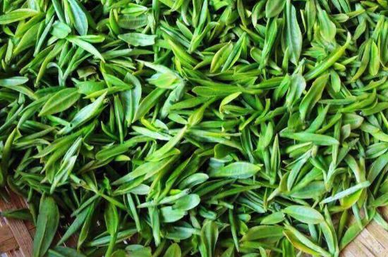 云霧綠茶的功效及禁忌，哪些人不適合喝云霧茶