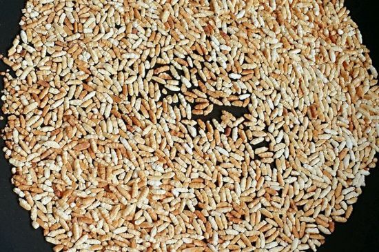 玄米茶是紅茶嗎，玄米茶怎么喝