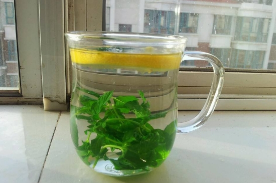 薄荷茶的功效與作用，喝薄荷茶有什么好處？