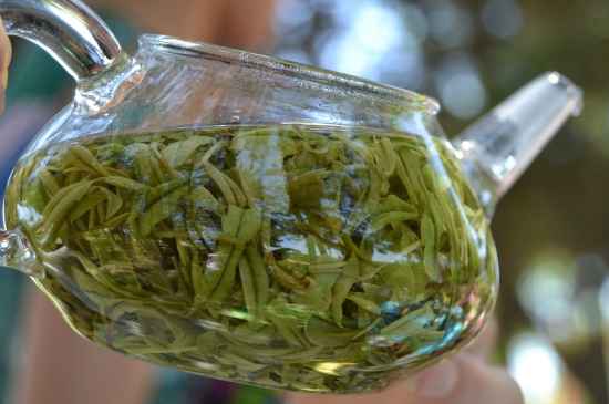 新手學泡茶的基本常識，從零開始學泡茶