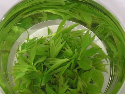 茶葉具有什么功效，茶葉的功效與作用大全