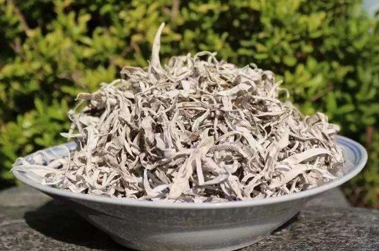 麗江雪茶的功效與作用，白雪茶有什么功效和作用