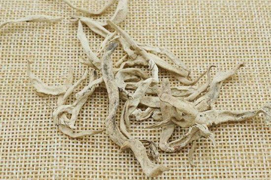 麗江雪茶的功效與作用，白雪茶有什么功效和作用