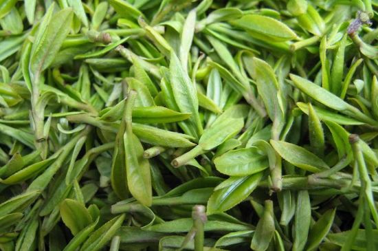 世界最貴的茶葉排行榜，十大最貴的茶