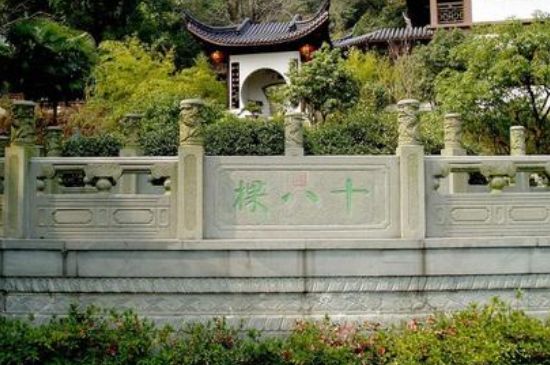 世界最貴的茶葉排行榜，十大最貴的茶