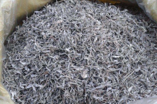 怎樣辨別莓茶發(fā)霉了，莓茶發(fā)霉和白霜的區(qū)別