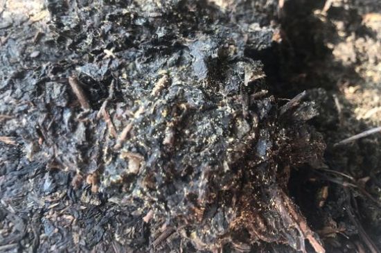 茯茶可以放在冰箱里存放嗎，茯磚茶如何儲(chǔ)存？