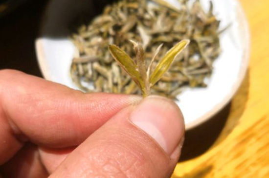 六大茶類哪種適合長期存放，日常如何保存方法一覽？