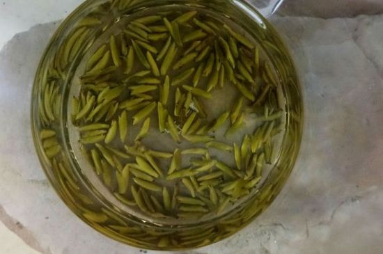 茶葉在哪里買比較好，哪里能買到好的茶葉