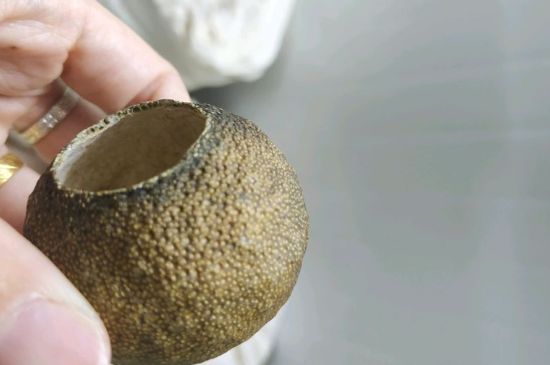 小青柑多少錢一盒，新會(huì)小青柑普茶價(jià)格一斤多少