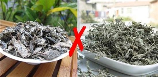 張家界茅巖莓茶與藤茶是同一種茶嗎，藤茶跟莓茶一不一樣？