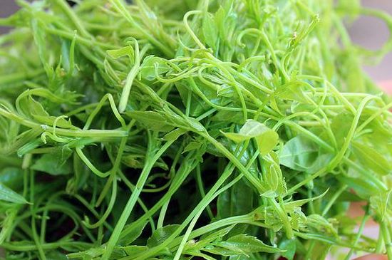 茅巖莓茶別名是什么，莓茶別名叫藤茶嗎？