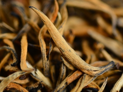 怎么知道什么茶葉適合自己，怎么判斷自己適合喝什么茶？