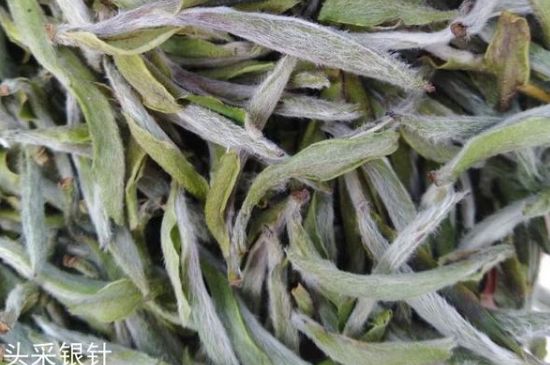 春茶季怎么辨別白毫銀針的好壞，好的白毫銀針如何選購？
