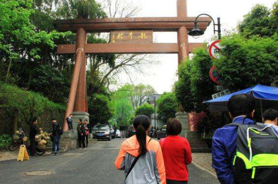 杭州買龍井茶攻略，怎么買到正宗的西湖龍井？