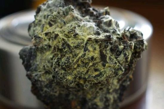 涇渭茯茶保質(zhì)期多久，陜西涇渭茯茶能放幾年