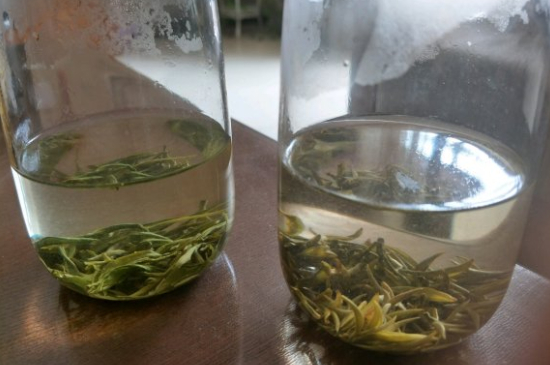 真假碧螺春泡水后區(qū)別，蘇州洞庭碧螺春怎樣鑒別好壞？