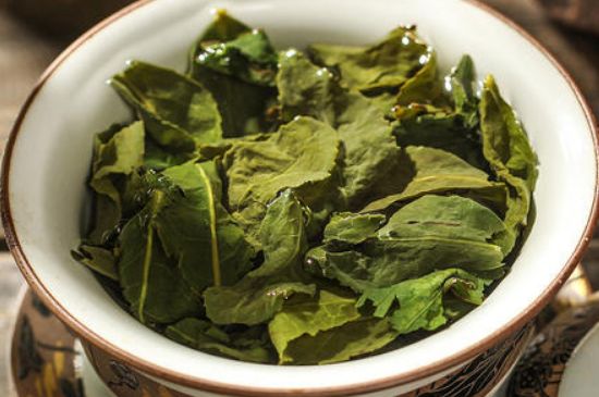 陳茶還是新茶好，茶葉是新茶好喝還是陳茶好喝