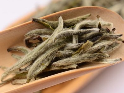 白毫銀針放幾年最好，白毫銀針什么年份最好？