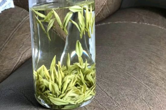 安吉白茶夏天怎么保存，安吉白茶能冷凍儲存嗎？