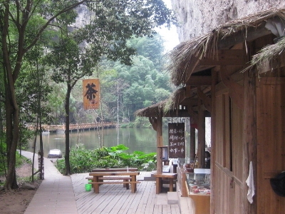 實體店買茶葉的技巧，新手買茶須知