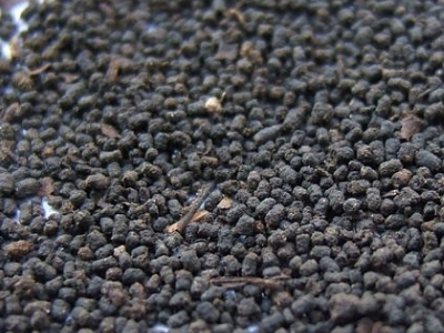 圓形顆粒狀茶是什么茶，像飼料一樣一粒粒的是什么茶？