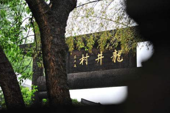 杭州買龍井茶攻略，怎么買到正宗的西湖龍井？