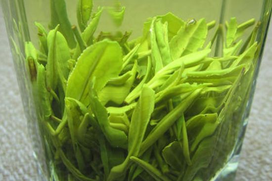 哪種茶葉可以放冰箱，哪些茶不能放冰箱？