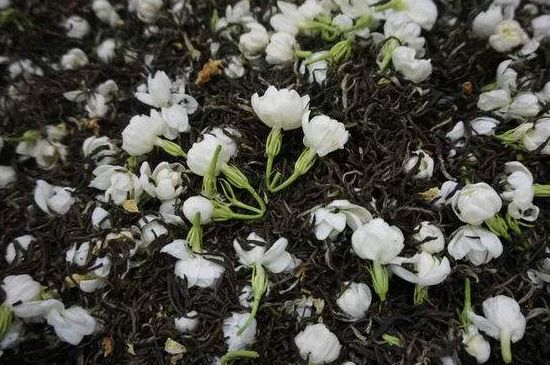 茉莉龍珠怎么做的，茉莉龍珠的制作工藝