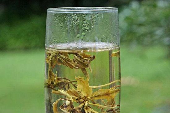 茉莉龍珠什么人不能喝，茉莉龍珠茶什么體質不能喝？