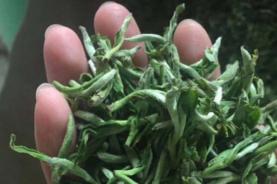 茉莉茶如何制作曬干，自制茉莉茶的做法