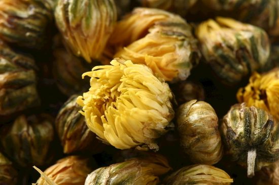 蒲公英搭配大全，蒲公英泡水喝的8種搭配