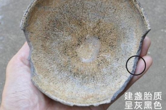 假建盞的特點(diǎn)，真假建盞區(qū)分帶圖