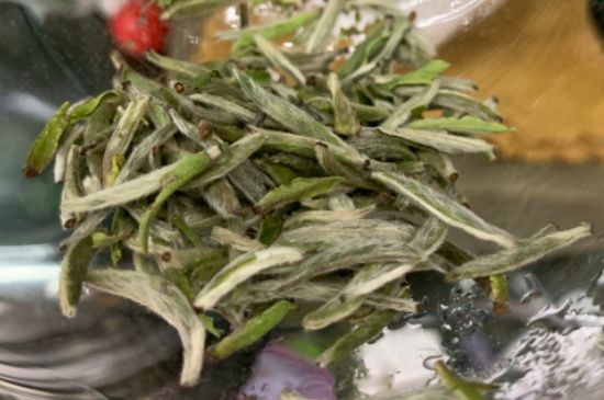 蒸汽煮茶器適合什么茶，蒸汽煮茶器適合用綠茶嗎？