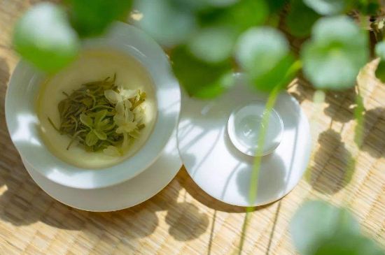 茉莉花茶6種人不要喝，什么體質(zhì)不適合喝茉莉花茶？